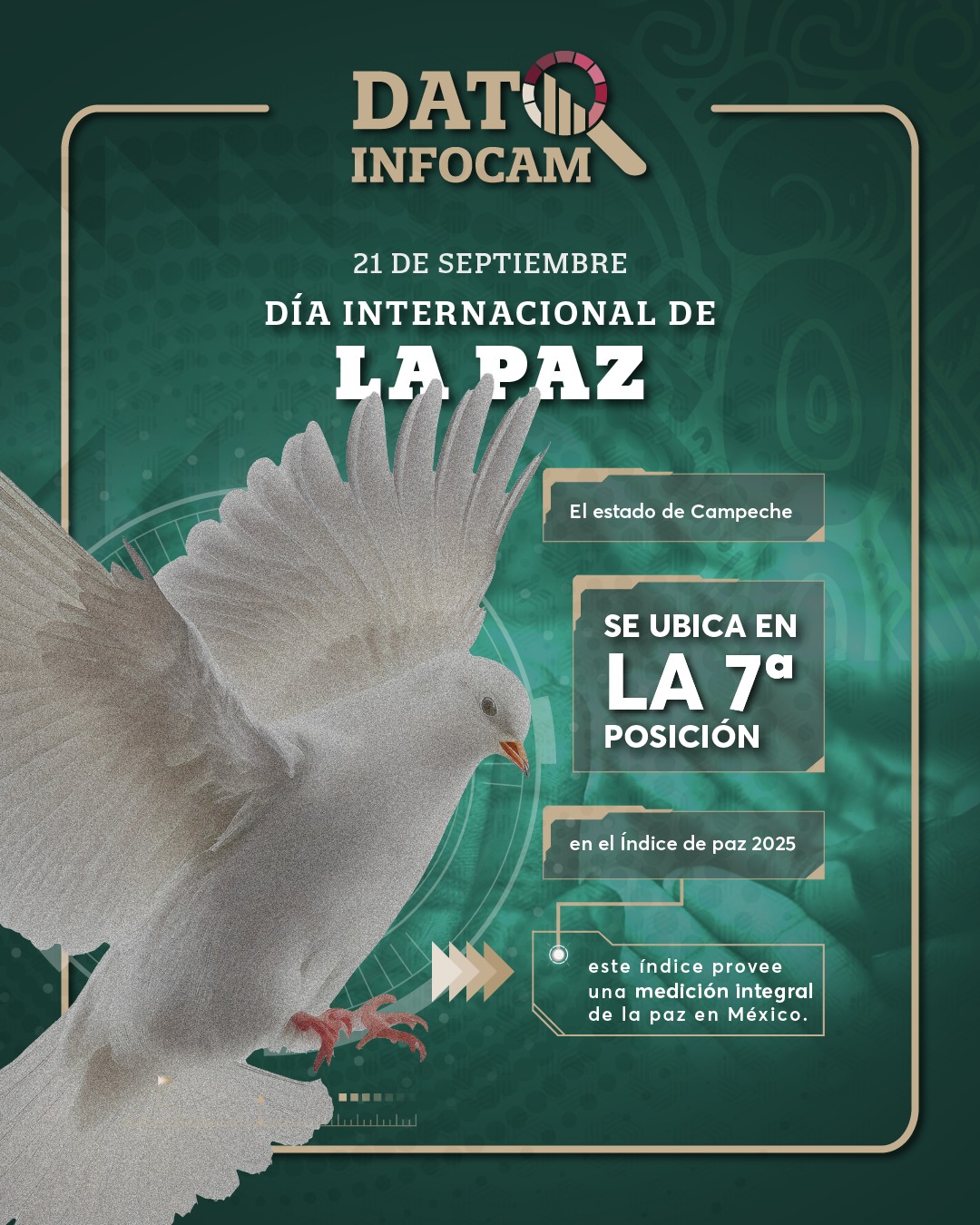 Logo 19