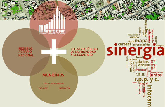 Quienes Somos