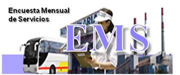 Encuesta Mensual de Servicios (EMS)
